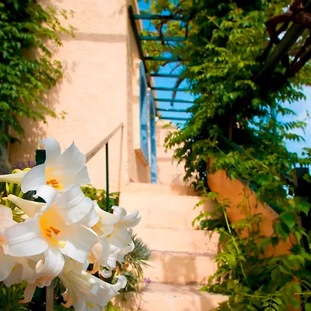 Coriva & Hotel 4*